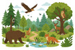 © Fabio - Forest animals wildlife scene with diverse woodland creatures. Vector illustration of a nature ecosystem with bear, fox, deer, eagle, owl, lynx, and rabbit. Cute cartoon landscape.
