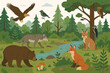 © Fabio - Forest animals wildlife scene. Cute cartoon vector illustration with bear, wolf, fox, lynx, eagle, owl and woodpecker in a green woodland landscape. Nature ecosystem concept.