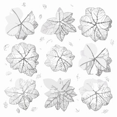 Poster - Artistic vector illustration of various stylized leaves in shades of grey arranged in a scattered composition against a white background.
