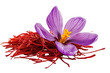 © Pavel - Saffron flower blooming with vibrant petals and dried spice beneath, highlighting beauty and culinary significance of this rare seasoning