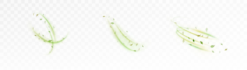 Aufkleber - Swirling green light trails with floating leaves on transparent background. Eco-inspired dynamic elements for design, symbolizing air, freshness and energy.

