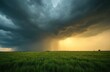 © Pete - Dramatic storm clouds above rural field with green wheat. Rain falls on agricultural landscape. Beautiful scenery, dramatic sky, weather phenomena, climate change. Crop, nature, scenic, weather.