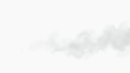 A soft, ethereal band of diffused light gray mist or smoke, gently undulating across a pure white background. The form is organic and flowing, with subtle shifts in opacity that create a delicate.