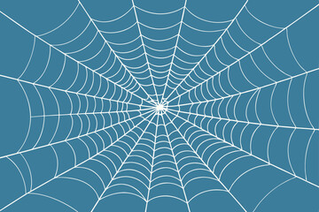 spider on web