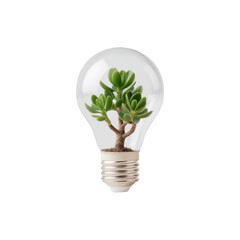 Poster - Green succulent plant growing inside light bulb symbolizing sustainability and eco-friendly concepts Transparent background or png
