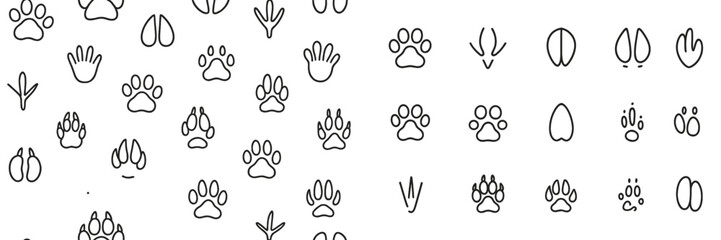 Poster - Diverse collection of animal tracks featuring various paw prints and footprints in a vector flat illustration