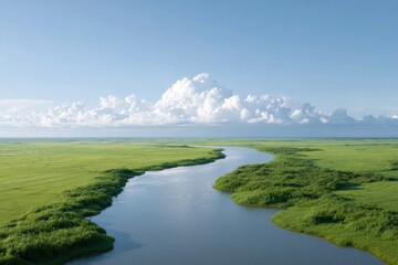 Poster - drone-shot aerial view of tranquil landscape featuring minimalistic top-down perspective
