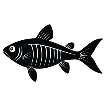 x ray letra fish vector Illustrator 