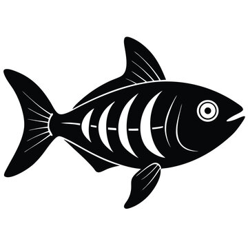 x ray letra fish vector Illustrator 