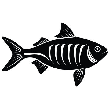 x ray letra fish vector Illustrator 