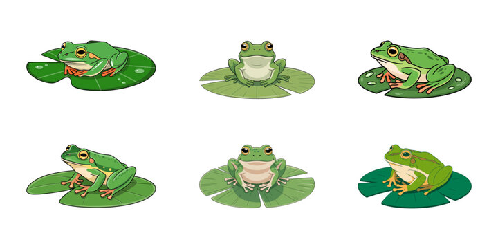 Frog silhouette illustration, Frogs, Pattern frog abstract graphic doodle black white illustration vector, Hand drawn vector illustration of Red-eyed tree frog. Set of contour and color drawing.