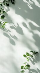 Poster - Shadows and Leaves Create a Serene Display on a Textured Wall During Bright Daylight Hours in a Tranquil Indoor Setting