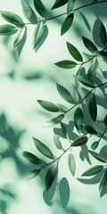 Poster - Green Leaves With Soft Sunlight Casting Shadows in a Tranquil Setting During the Afternoon