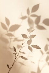 Poster - Shadows of Delicate Leaves Cast Against a Warm Wall Create a Serene Atmosphere in a Softly Lit Indoor Space During Late Afternoon