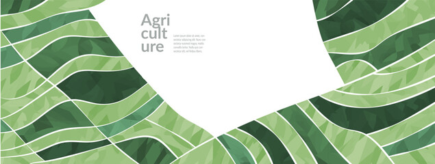 Wall Mural - farm agriculture illustration with vineyard rice field pattern, abstract wine landscape collage. whe