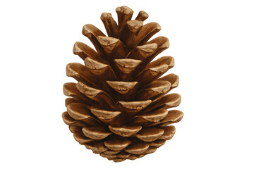 Poster - Pine cone resting against clean transparent background, highlighting natural woodland detail