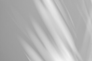 Poster - Wall interior background, studio and backdrops show products.with shadow from window color white and grey. background for text insertion and presentation product	