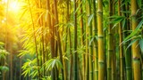 Dense foliage of bamboo plants with soft green and golden tones creating a serene atmosphere in a natural setting