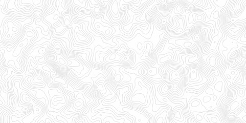 Poster - Topographic map. Geographic mountain relief. Abstract lines background. Contour maps. Vector illustration, Topo contour map on white background, Topographic contour lines vector map seamless pattern.	