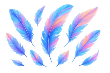 Poster - Delicate feathers in blue and pink swirling softly against transparent backdrop, highlighting soft iridescent movement