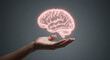 © Item.io - Gentle hands hold a glowing brain illuminating the power of intellect and mind