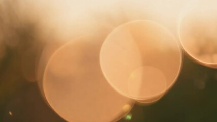 Poster - Soft Warm Sunlight with Bokeh Effect on a Natural Background During Early Morning or Late Afternoon 4k video footage
