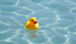 © Obsure - Rubber duck floating on sunlit pool water