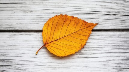 Poster - Single deciduous leaf lying on wooden surface in autumn