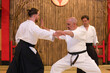© Gonzalo - Aikido master practicing martial arts with student in dojo