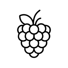 Poster - Outline drawing of a cluster of small round fruits with a leaf and stem on top, isolated on white