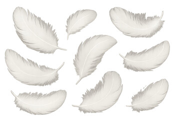 Aufkleber - White feathers falling softly with transparent background, creating a serene and elegant atmosphere