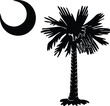 © IAKCreatives - South Carolina State Flag Palm Tree Moon on transparent background