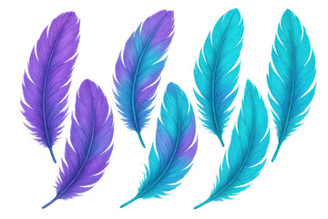 Aufkleber - Six colorful feathers are floating on a transparent background, creating a vibrant and ethereal image