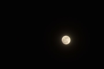 Wall Mural - pink full moon covering by cloud floating on sky in night background