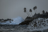 A powerful wave crashes onto a rocky shore with tall palm trees in the background, showcasing the dynamic forces of nature in a coastal scene.