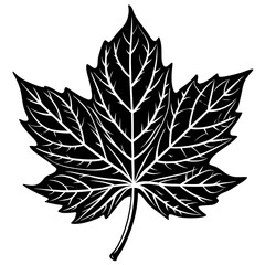 Poster - Maple leaf clip art vector graphic design element for autumn fall season canada symbol silhouette decor