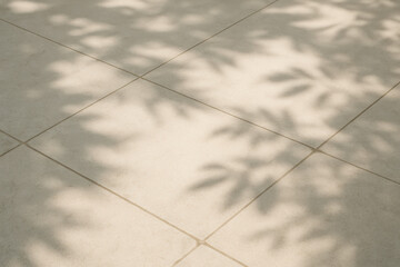Poster - The subtle interplay natural light and soft shadows on smooth stone surfaces evokes calmness and balance symbolizing steady progress in strategic spaces
