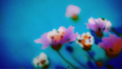 Wall Mural - soft focus dreamy pink cosmos flowers on vibrant blue background with artistic blur, ideal for web d