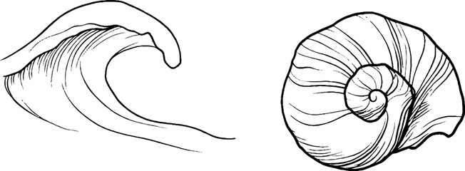 Poster - Abstract line art set featuring spiral and wave designs for creative projects
