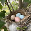 © SreemotiTapashi - Bird eggs in nest