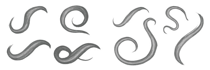 Poster - Artistic swirling line patterns showcasing dynamic movement on a clean white background