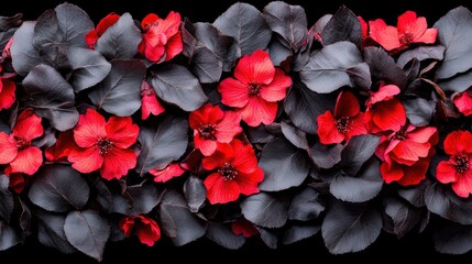 Poster - Vibrant red flowers with dark leaves creating a lush decorative floral arrangement perfect for nature decoration