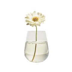 Poster - delicate white flower stands gracefully in clear glass of water, creating serene and elegant display. simplicity of arrangement evokes sense of calm and beauty