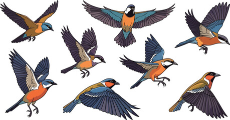 Wall Mural - illustration of eight colorful european roller birds flying on a white background in various positio