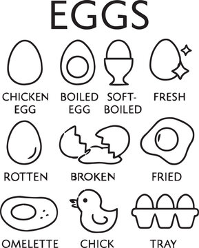 Eggs line icon set. Chicken egg, boiled, soft-boiled, fresh, rotten, broken, poached egg, fried, omelette, chick, tray and more. Series outline icons. Vector pictogram collection