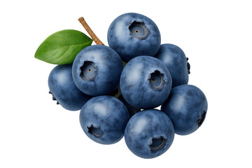 Fototapete - Fresh blueberries hanging from stem, showcasing vibrant blue color and green leaf against transparent backdrop, highlighting natural produce quality