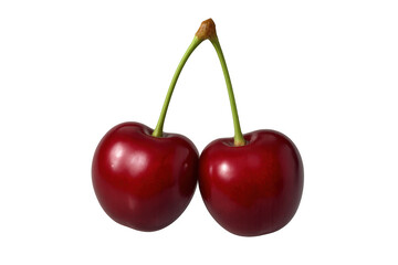 Fototapete - Ripe red cherries hanging with fresh green stems against clean transparent backdrop