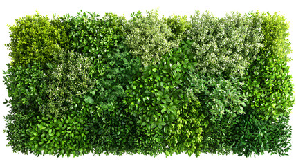 lush vertical garden wall composed of various green foliage and plants offering natural and sustaina