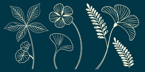 Poster - Elegant botanical illustrations collection featuring four distinct decorative vector shapes for artistic design and decoration purposes