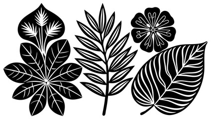 Poster - Elegant vector illustration of black and white tropical leaves and a flower isolated on white background for design